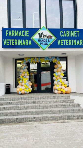 Hands and Paws Vet - Cabinet veterinar Ciorogarla