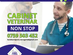 Hands and Paws Vet - Cabinet veterinar Ciorogarla
